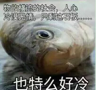家居风水中在这个位置养鱼,能让你财源广进 图片12 家居风水中在这个位置养鱼,能让你财源广进 图片11