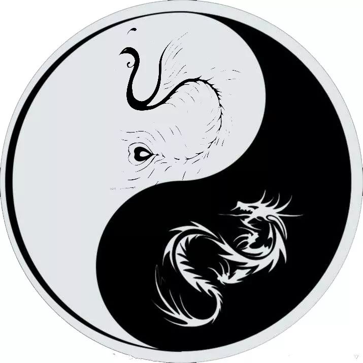 十道九医:中医王院士半年前就预测了这次疫 图片12 十道九医:中医王院士半年前就预测了这次疫 图片11