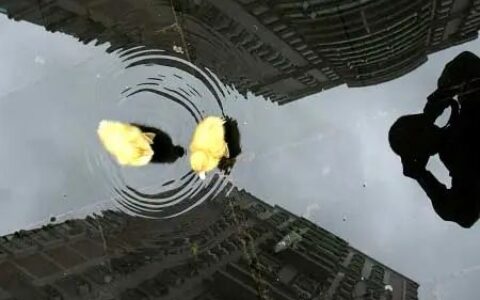 大环境不好的情况下，个人运势会变得无足轻重