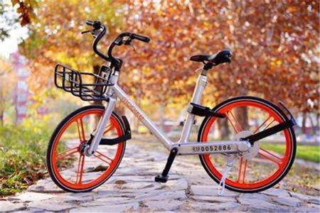 梦到丢自行车是什么意思 你的进取心受挫了吗 图片1