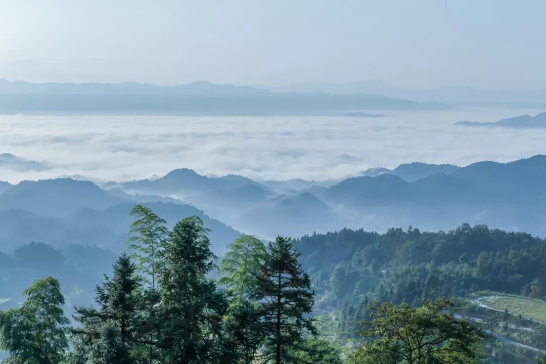 阴宅和阳宅风水哪个对人的影响力更大？ 图片3