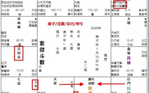 【疫情预测】占卜：药物研发进度与临床治疗效果