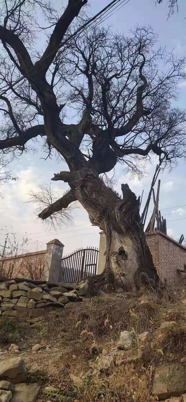 黄陵有一处风水宝地，你知道在哪里吗? 图片5