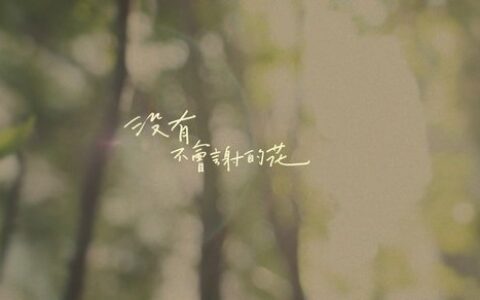这样的金牛座值得爱吗？