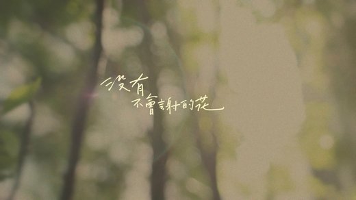 这样的金牛座值得爱吗? 图片6 这样的金牛座值得爱吗? 图片5