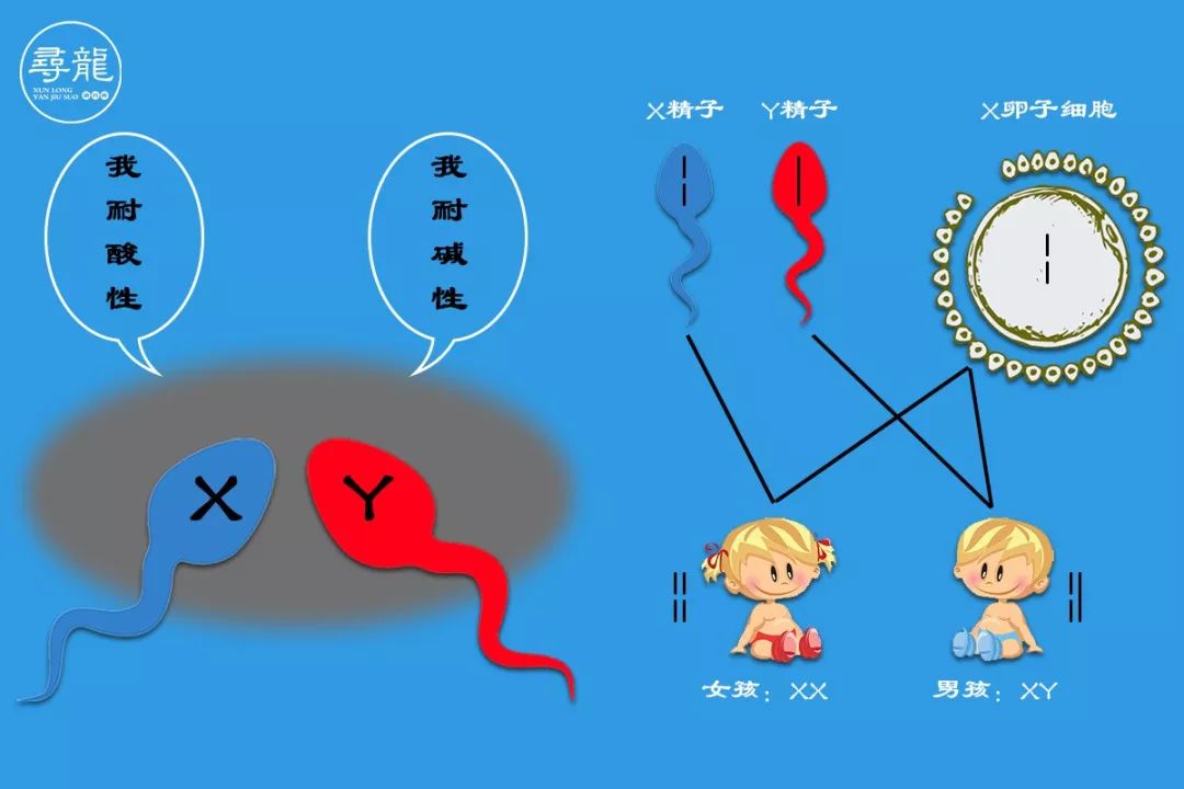 风水能不能绝对生男生女、生男生女的风水偏方 图片4 风水能不能绝对生男生女、生男生女的风水偏方 图片3