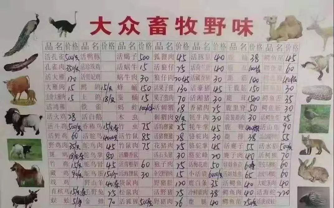 疫情当前，我们该如何通过易经更好的生活？ 图片9