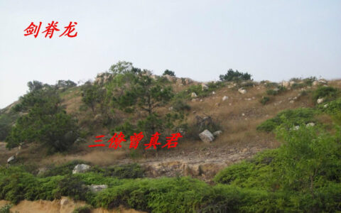 黄大仙讲风水：“杀师时，杀师地” 如何化解？