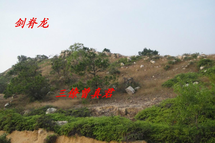 黄大仙讲风水：“杀师时，杀师地” 如何化解？ 图片5