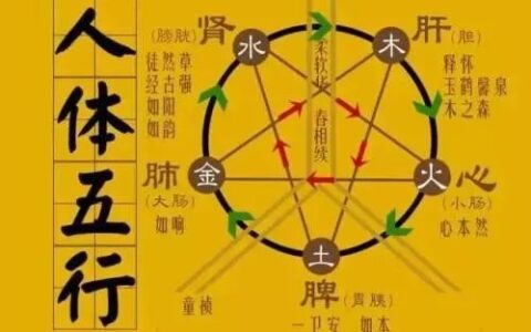从肺炎疫情这个“病”，五行分析到底源于何处？