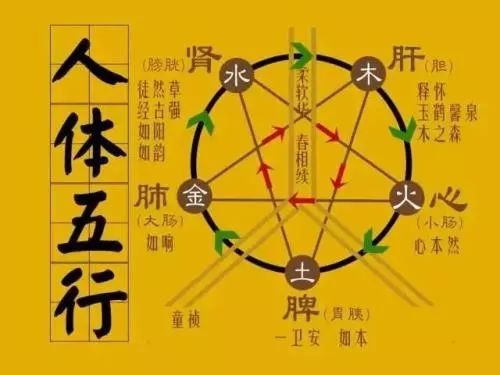 从肺炎疫情这个“病”，五行分析到底源于何处？ 图片13