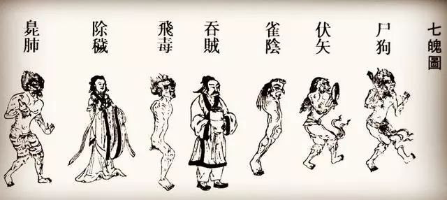 科普 | 你的「三魂七魄」到底是什么？ 图片11