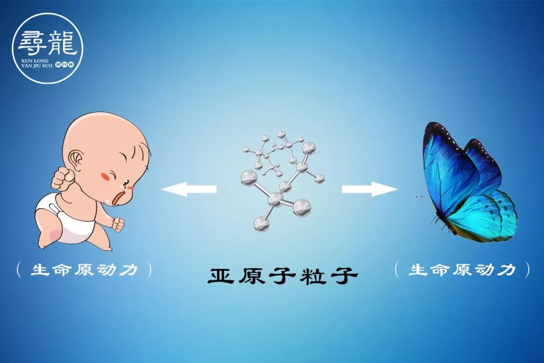 这么多人看风水,到底在看什么? 图片18 这么多人看风水,到底在看什么? 图片17