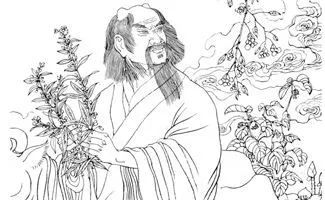 “火神山”“雷神山”“钟南山”究竟是巧合还是注定？ 图片3