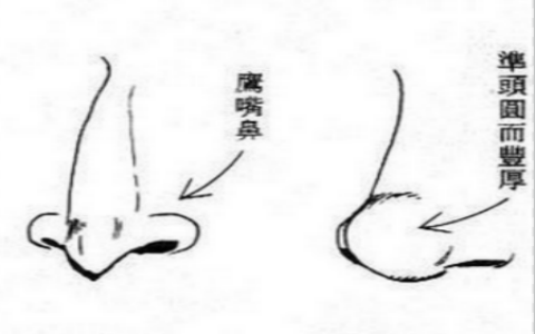鼻子反映女人善恶