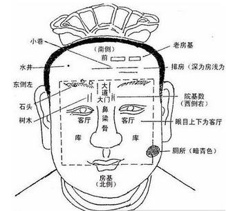 三种名利双收的面相，你有吗 图片3