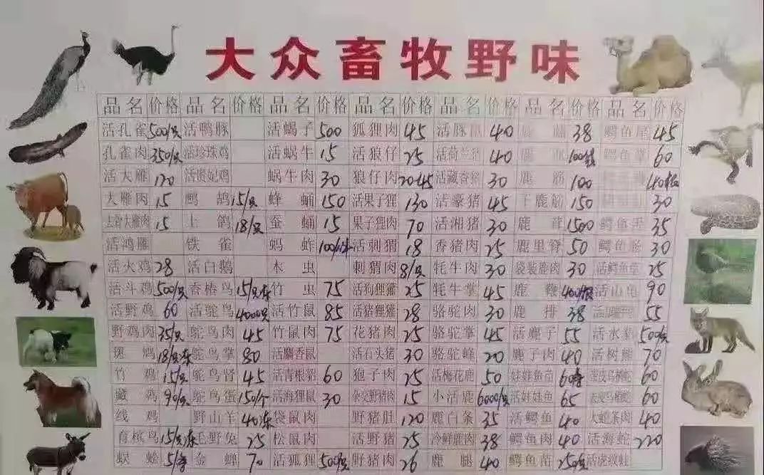 每逢庚子,必有大乱?疫情的背后藏着这个秘密 图片6 每逢庚子,必有大乱?疫情的背后藏着这个秘密 图片5