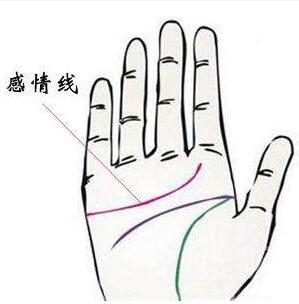 一分钟教你看懂感情线 图片3