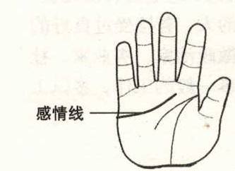 一分钟教你看懂感情线 图片5