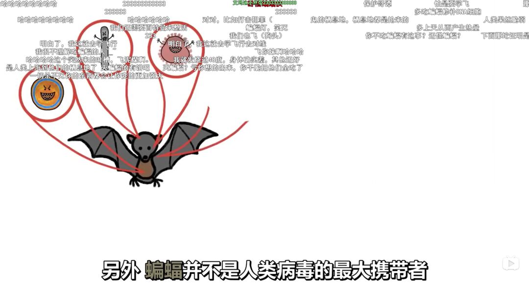 蝙蝠与福文化，福与祸的代言，被遗忘的敬畏 图片25