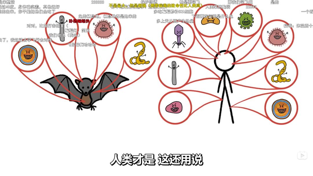 蝙蝠与福文化，福与祸的代言，被遗忘的敬畏 图片27
