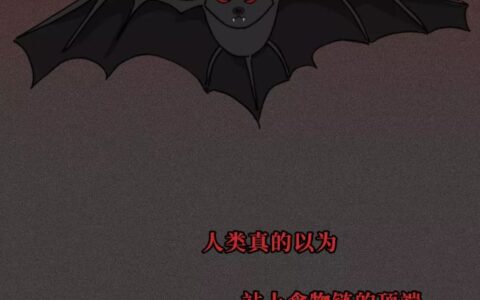 蝙蝠与福文化，福与祸的代言，被遗忘的敬畏
