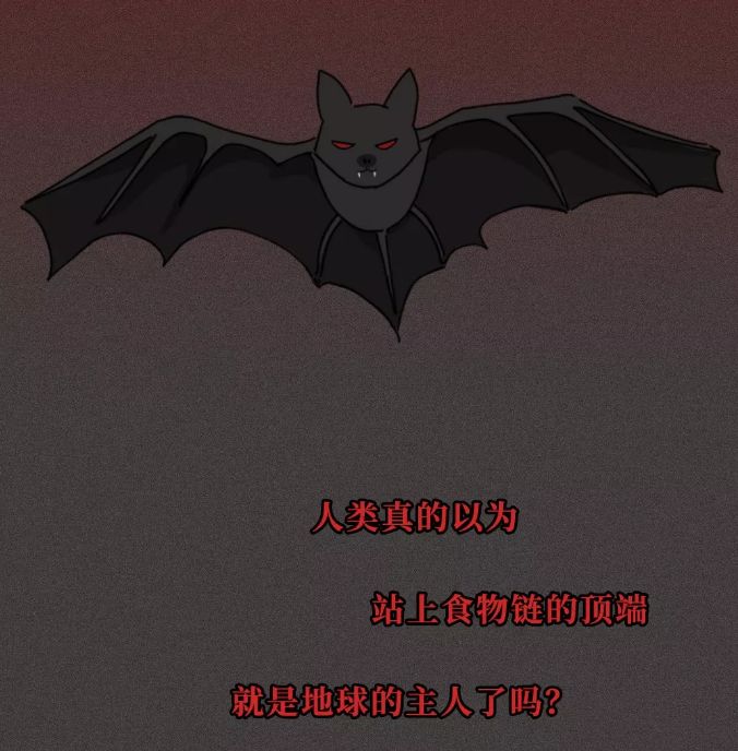 蝙蝠与福文化，福与祸的代言，被遗忘的敬畏 图片33