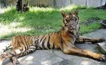 孩子体弱多病？是家里这个位置出问题！ 图片9