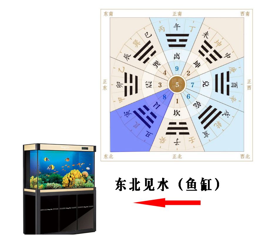孩子体弱多病？是家里这个位置出问题！ 图片13