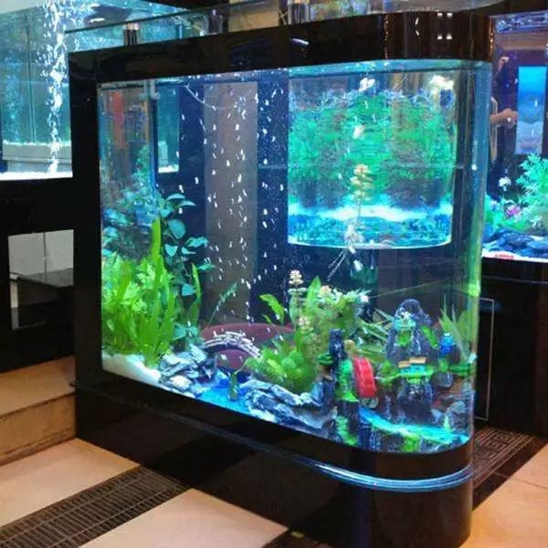 从风水的角度看最近花钱如流水，到底怎么回事！ 图片17