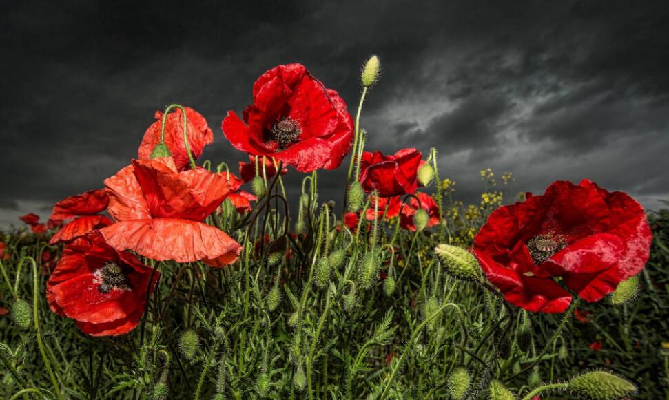 你负责好好学习，风水决定能否天天向上 图片1