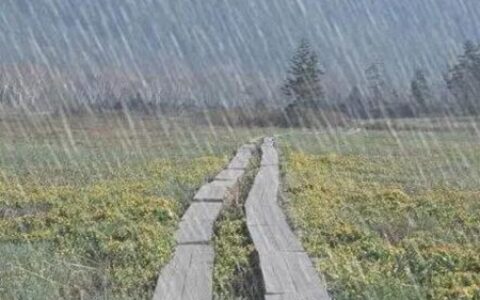 梦见下雨是什么征兆 是预示最近有坏事吗