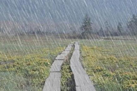 梦见下雨是什么征兆 是预示最近有坏事吗 图片5