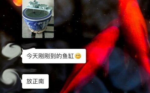风水环境：住了这个房，我总是心脏不舒服