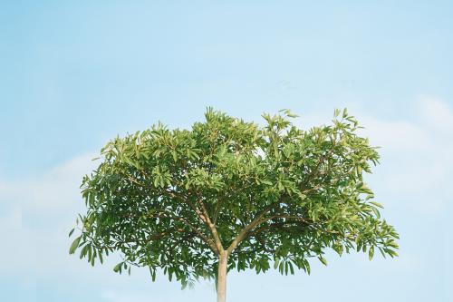 今日运势之7月23日，不爱就别轻易承诺！ 图片1