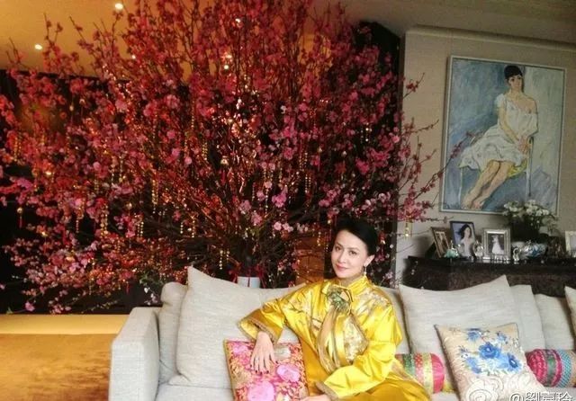 过年期间家里放这些花可以旺运 图片4 过年期间家里放这些花可以旺运 图片3