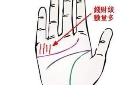 你手上有这三条发财纹吗