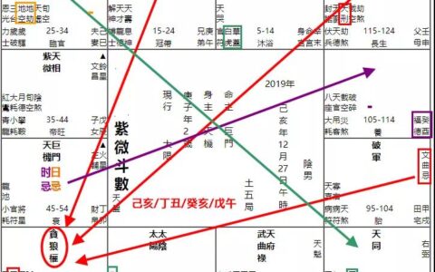 疫情预测：新型冠状病毒肺炎的发展趋势