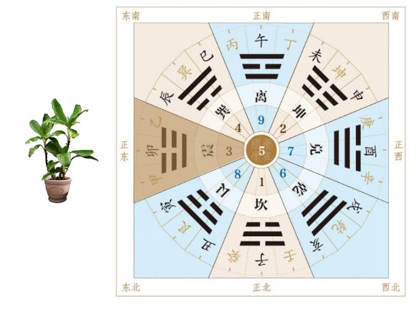 小人不断、争吵不休，这样的风水要避开！ 图片7