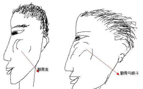 怎么看男人骨相好不好