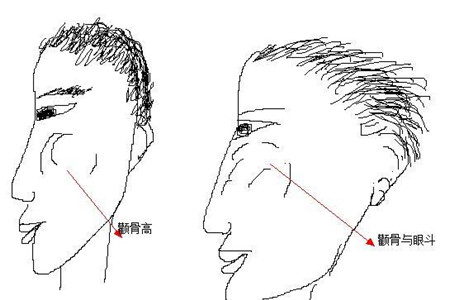 怎么看男人骨相好不好 图片6 怎么看男人骨相好不好 图片5