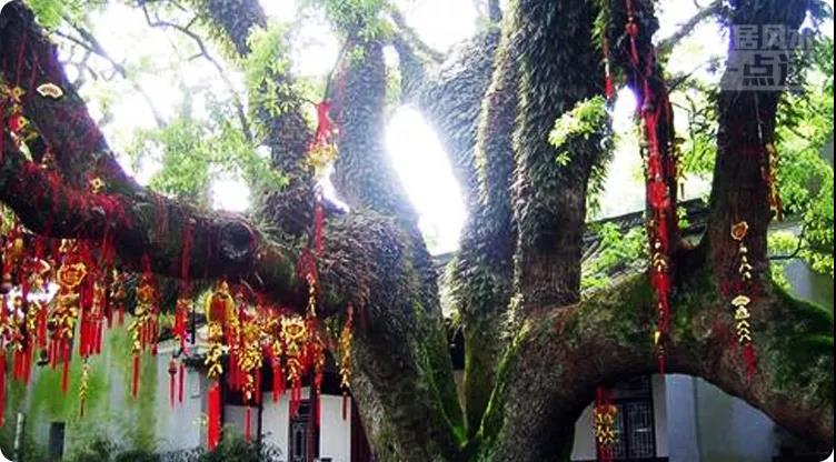 春节期间外出旅行需要注意哪些禁忌 图片1