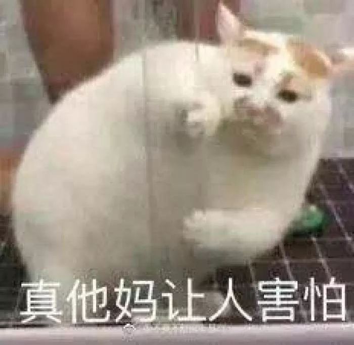 财库、财眉与十恶大败，有钱没钱看这些特征 图片27