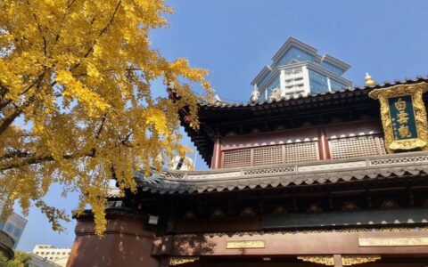 2020年大环境趋势预测，2020年如何防患于未然