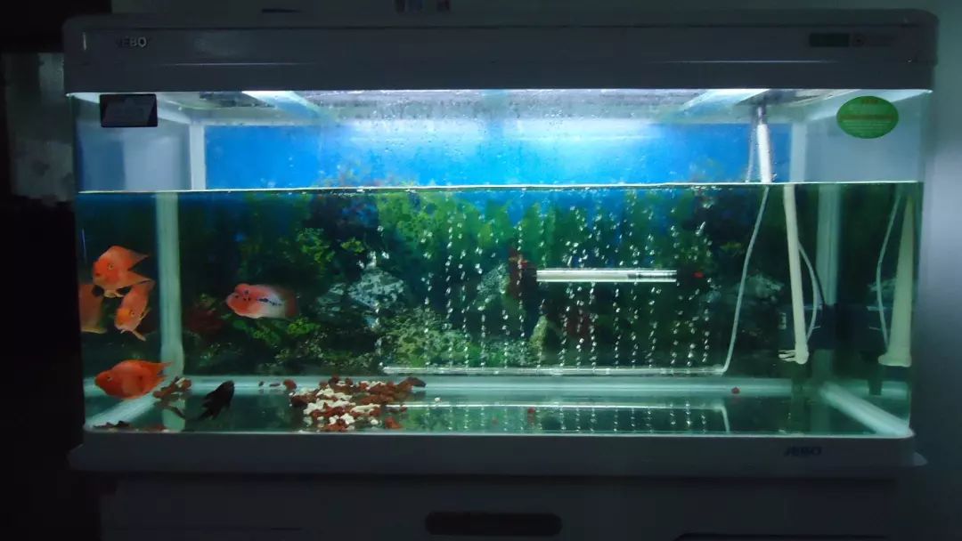 白露|调整好风水能让你生活一帆风顺 图片17
