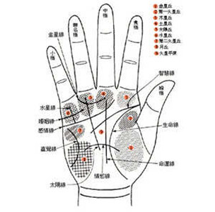 手相之从手型看你们是否般配 图片3