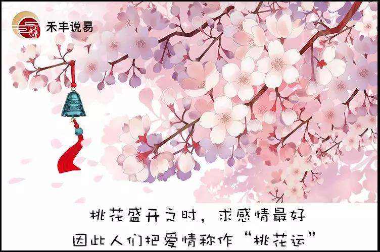 八字命带桃花能婚姻美满，为何现实却命犯桃花劫 图片5
