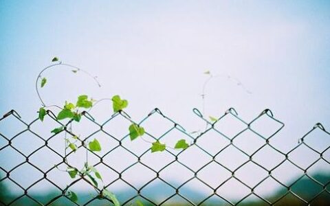 为什么天秤座喜欢吃回头草呢？
