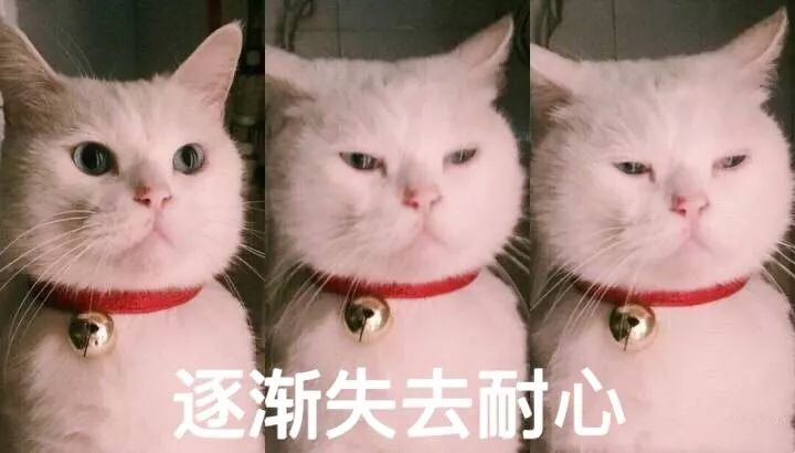 庚子年是大灾之年？双春年不宜结婚，完全对称日是什么？ 图片11
