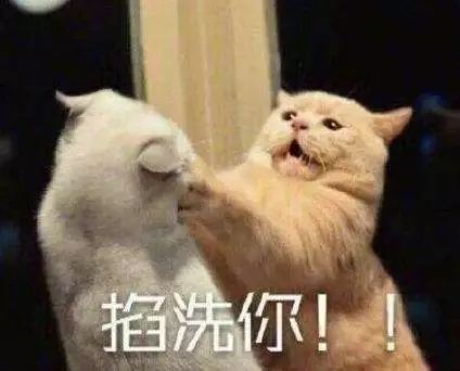 庚子年是大灾之年？双春年不宜结婚，完全对称日是什么？ 图片29